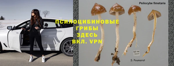 гашик Арсеньев