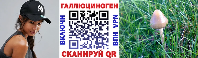Галлюциногенные грибы мицелий  где найти   Зеленодольск 